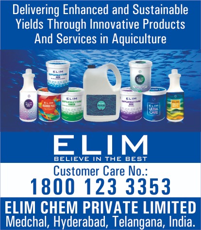 elism